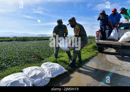 August 3, 2022, San Mateo Atenco, Mexico City, Mexico: August 3 in San Mateo Atenco, Mexico : Neighbors, civil protection elements and military personnel belonging to the 25th Infantry Battalion, applied Plan DN-III-E in its prevention phase, by placing ''costaleras'' along 4 kilometers of the perimeter of the Lerma River, a place where every rainy season it suffers overflows and severe flooding in homes in the area. on August 3, 2022 in San Mateo Atenco, Mexico. (Credit Image: © Arturo HernÃ¡Ndez/eyepix via ZUMA Press Wire) Stock Photo