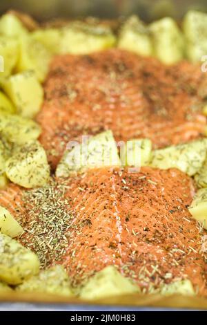 The raw salmon fish meat with potatoes in a baking tray Stock Photo