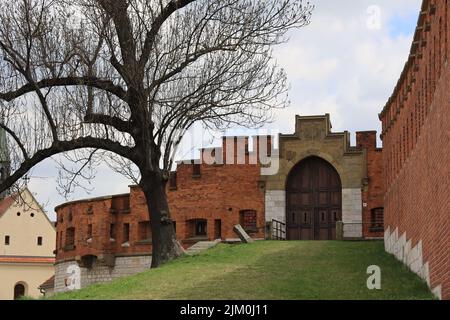 The exterior design of Amber Museum with big old wooden gate and big leafless tree in front Stock Photo