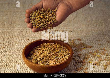 Lentil grains fall from the palm into a wooden bowl Stock Photo