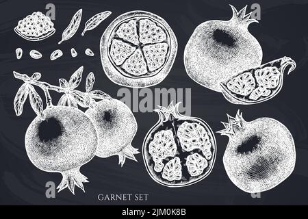 Fruits hand drawn vector illustrations collection. Chalk garnet. Stock Vector
