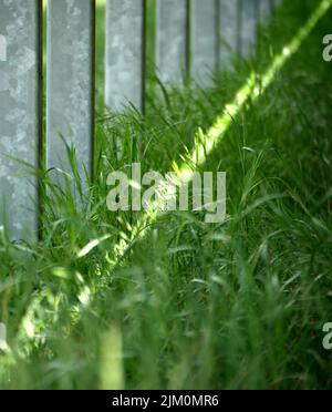 light beam on grass close to posts of a solar panel park Stock Photo