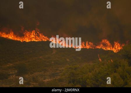 Wildfire of El Pont de Vilomara, on July 17, 2022, which burned 1,743 hectares of vegetation (Bages, Barcelona, Catalonia, Spain) Stock Photo