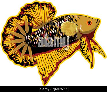 An editable gold black star betta fish on white background - good 