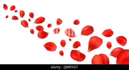 Flying rose petals of red flower blossom. Vector background of realistic rose flower petals falling wave, floral confetti 3d pattern for Valentine, Mo Stock Vector