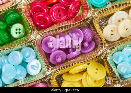 Close-up of a box with a set of multi-colored buttons in plastic cells Stock Photo