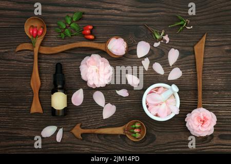 Rose flowers for aromatherapy essential oil preparation and rosehips for natural herbal plant medicine. Natural alternative medicine and edible flora. Stock Photo