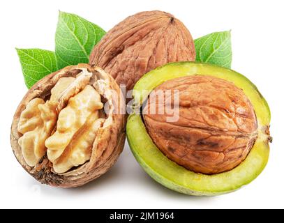 Walnut, walnut kernel and green leaves isolated on white background. Stock Photo