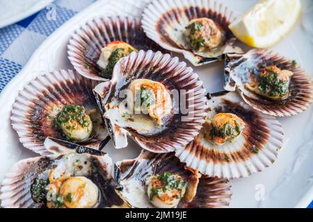 'Lapas' or true limpets with green moyo - traditional seafood of Tenerife and Madeira Islands. Stock Photo