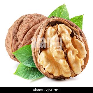 Walnuts, walnut kernel and green leaves isolated on white background. Stock Photo