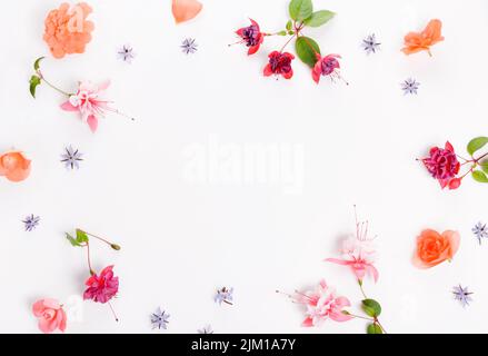 Flat lay holiday set with pink, purple fuchsia flowers on white background, top view Stock Photo