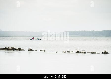 Two fisherman on boat fishing in Paliastomi lake with seagulls stand on rocks in foreground Stock Photo