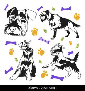 Schnauzer breed dog set, funny puppies in different poses, portrait, doodle drawing Stock Vector