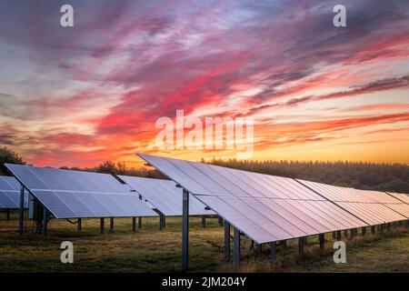 The sun rises behind an array of solar panels on a  small solar farm in Devon, England. Stock Photo