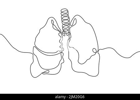 lungs drawing – Eastlondonlines