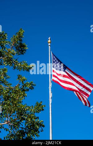 American flag against a bright blue sky, waving in a light breeze. An osprey bird of prey sitting on top of the flag pole, overlooking the park below Stock Photo