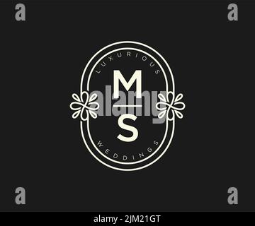Luxury Letter M Logo. M Logotype For Elegant and Stylish Fashion Symbol  17192978 Vector Art at Vecteezy