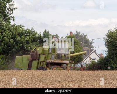 Pickmere Cheshire, August 4th 2022. Farmer taking advantage of the very dry July to harvest his Wheat crop early. Pickmere, Cheshire, UK Stock Photo