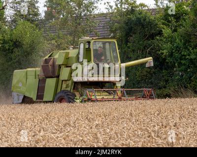 Pickmere Cheshire, August 4th 2022. Farmer taking advantage of the very dry July to harvest his Wheat crop early. Pickmere, Cheshire, UK Stock Photo