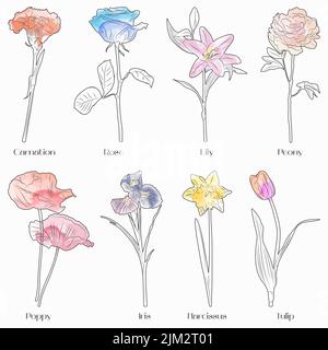 Stylish collection of flowers in watercolor style. Stock Vector