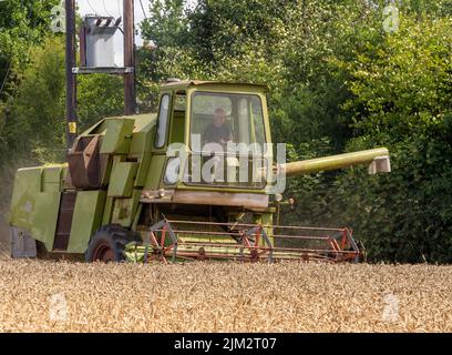 Pickmere Cheshire, August 4th 2022. Farmer taking advantage of the very dry July to harvest his Wheat crop early. Pickmere, Cheshire, UK Stock Photo