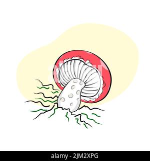 Mushroom drawing champignon, porcini, greasers, suillellus, boletus, russule, russulacea, amanita, death cap. Vector graphic stock image. Children Stock Vector