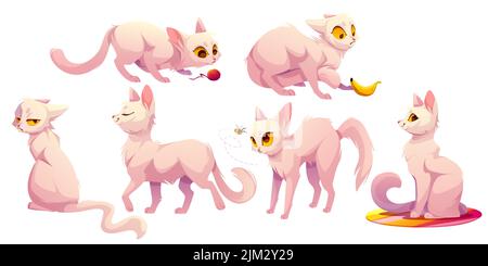 Cute white cat character in different poses. Vector cartoon illustration of funny kitten sitting carpet, walking, scared of banana and bee, play with yarn ball and grumpy Stock Vector