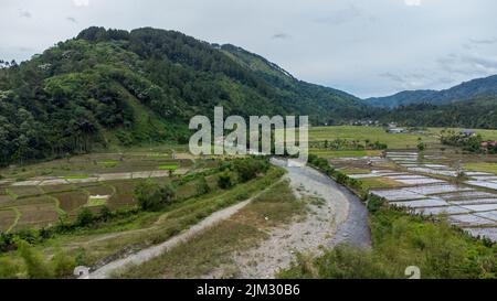 Aerial view of tropical rice fields under the equator, Aceh, Indonesia. Stock Photo