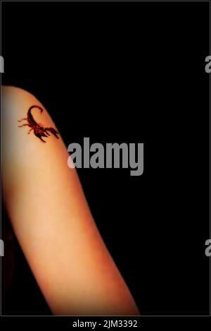 scorpion tattoo – All Things Tattoo