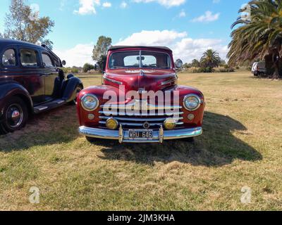 Old red Ford Super DeLuxe 8 convertible 1946 - 1948 on the grass. Front view. Nature trees. Front view. Grill. Badge. Classic car show. Copyspace Stock Photo