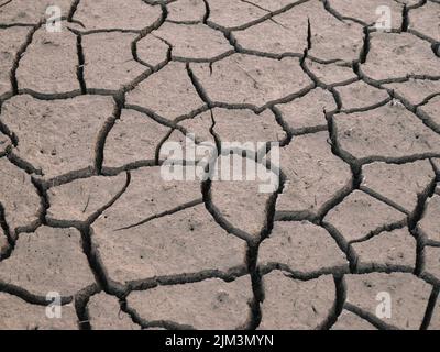 Cracked parched mud in a drought background - dry earth skin dry riverbed background Stock Photo