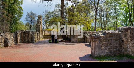 The ruins of the Dominican monastery on Margaret Island in Budapest, Hungary Stock Photo