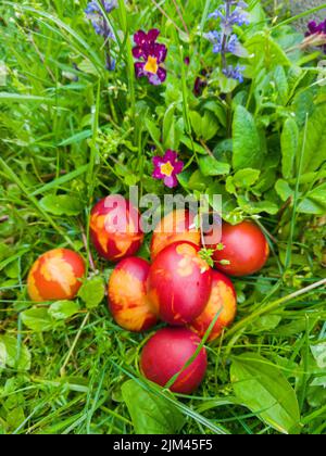 Orthodox Easter, red eggs in grass Stock Photo
