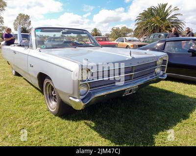 Old sport Plymouth Fury III 1965 - 1968 two door convertible. Sunny day. Green nature grass and trees background. Classic car show. Stock Photo