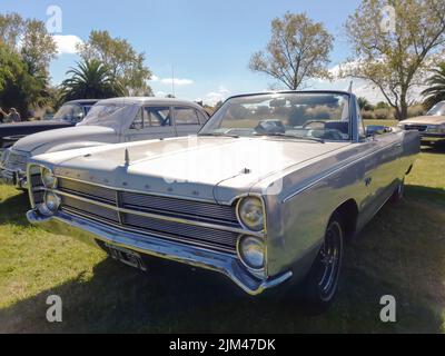 old sport Plymouth Fury III 1965 - 1968 two door convertible. Sunny day. Green nature grass and trees background. Classic car show. Stock Photo