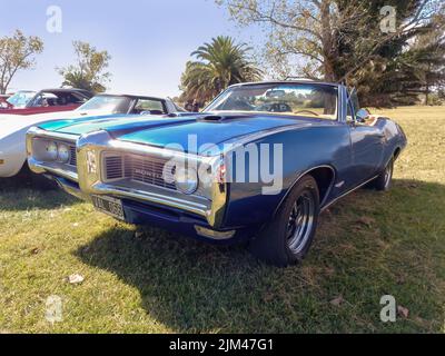 Old blue sport Pontiac GTO two door convertible 1969 in the countryside. Front view. Nature, grass, trees. Classic luxury muscle racing car. Stock Photo