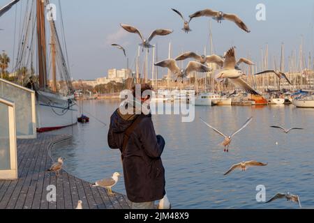 Barcelona, Spain- January 19, 2022: Man feeding seagulls in the port of Barcelona (Spain), selective approach to man. Stock Photo