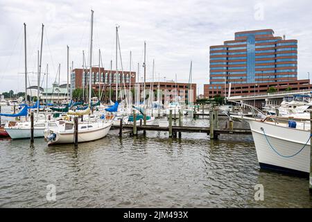 Hampton Virginia,Tidewater Area,Hampton River water marina boats boating harbor harbour yachts,buildings city skyline cityscape landmark Stock Photo