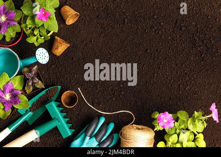 Plants flowers gardening tools on soil background. Stock Photo