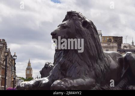 Lion statue at Nelson's Column in Trafalgar Square. London, United Kingdom 3rd August 2022. Stock Photo