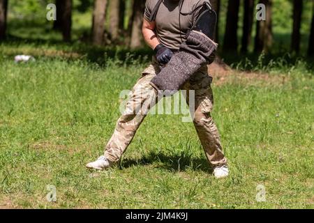 Cynologist with a sleeve for training aggression of dogs. High quality photo Stock Photo