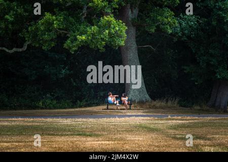 Southampton, Hampshire, UK. 4th of August 2022. People seeking shelter in the shade from the sun at Southampton Common during a prolonged period of dryness across the South of England, UK Stock Photo