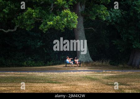 Southampton, Hampshire, UK. 4th of August 2022. People seeking shelter in the shade from the sun at Southampton Common during a prolonged period of dryness and heatwave across the South of England, UK Stock Photo