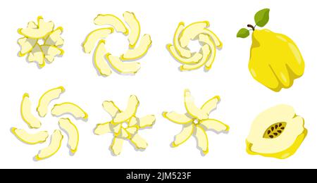 Juicy slices of pear and quince to decorate dishes. Slices of pear in form of sun or flower on top of dish. Cartoon vector isolated on white backgroun Stock Vector