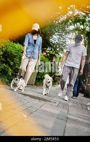 A couple was walking their dogs in lockdown Stock Photo