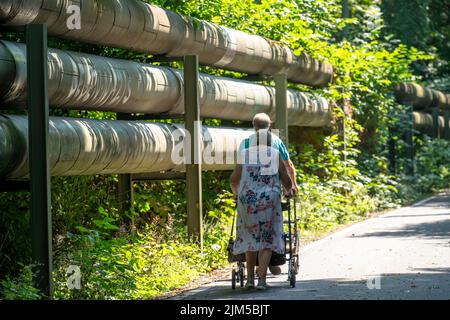 Lothringentrasse, in the north of Bochum, Bochum-Grumme, district heating lines, senior citizens with rollator walking, former railway line, connects Stock Photo