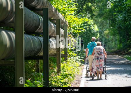 Lothringentrasse, in the north of Bochum, Bochum-Grumme, district heating lines, senior citizens with rollator walking, former railway line, connects Stock Photo