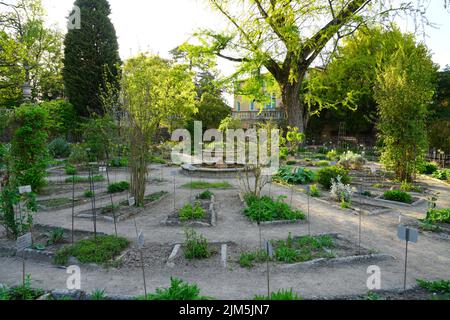 PADUA, ITALY -14 APR 2022- View of the landmark Orto Botanico di Padova at the University of Padua, the world's oldest academic botanical garden. It i Stock Photo