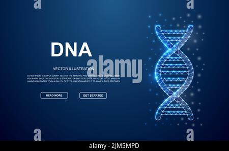 DNA spiral 3d low poly symbol with connected dots for blue landing page. Biotech design illustration concept. Polygonal Genetic helix illustration Stock Vector