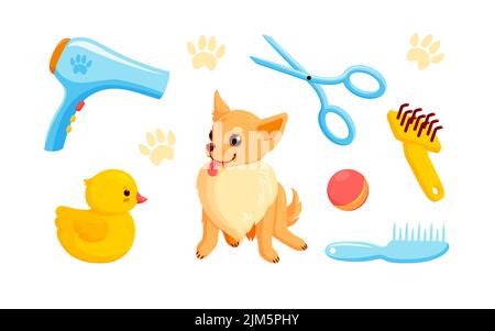 Dog and grooming accessories with pet shampoo, combs and rubber ducks. Playful chihuahua puppy in grooming service. Vector illustration in cute Stock Vector